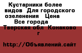 Кустарники более 100 видов. Для городского озеленения › Цена ­ 70 - Все города  »    . Тверская обл.,Конаково г.